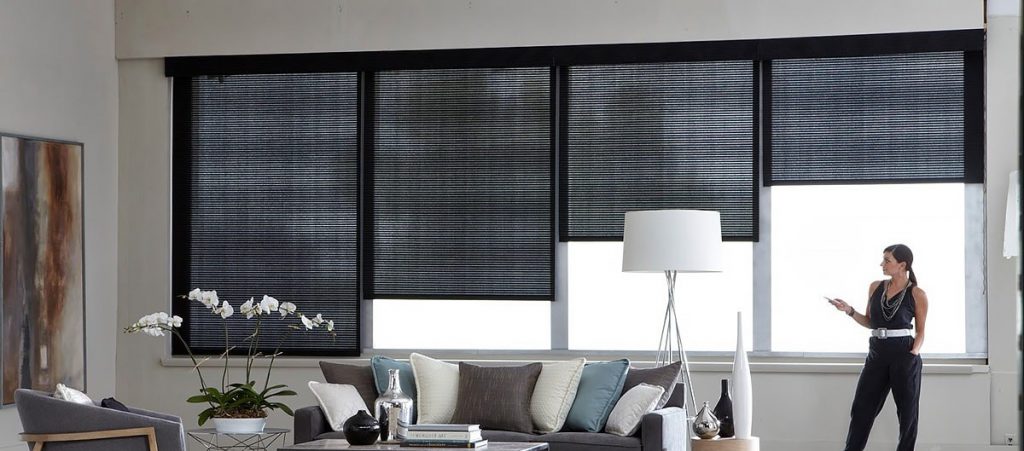 Smart Windows and Blinds